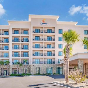 Comfort Inn & Suites Gulf Shores East Beach Near Gulf State Park